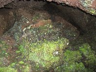 otte Scorciavacca20110306 112